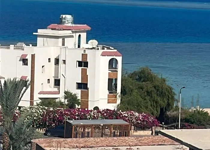 Dream Apartment1